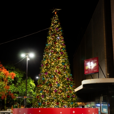 Wollongong City Council